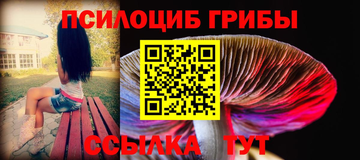 Галлюциногенные грибы прущие грибы  Вход с VPN  Тамбов  Галлюциногенные грибы GOLDEN TEACHER 